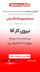 استخدام نیروی کار آقا در فروشگاه الکتریکی